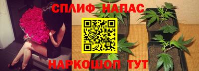 стафф Малоярославец