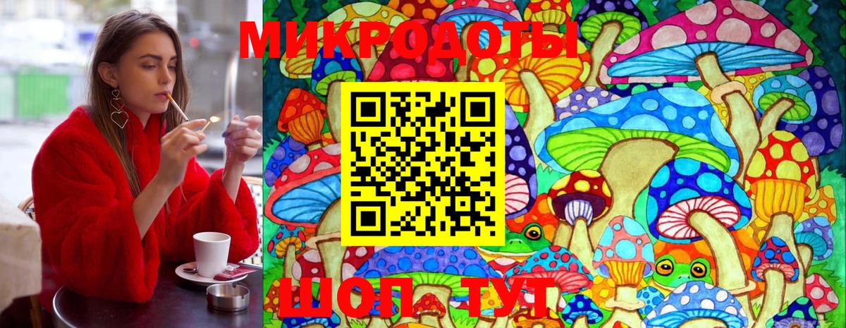 Псилоцибиновые грибы Cubensis Химки