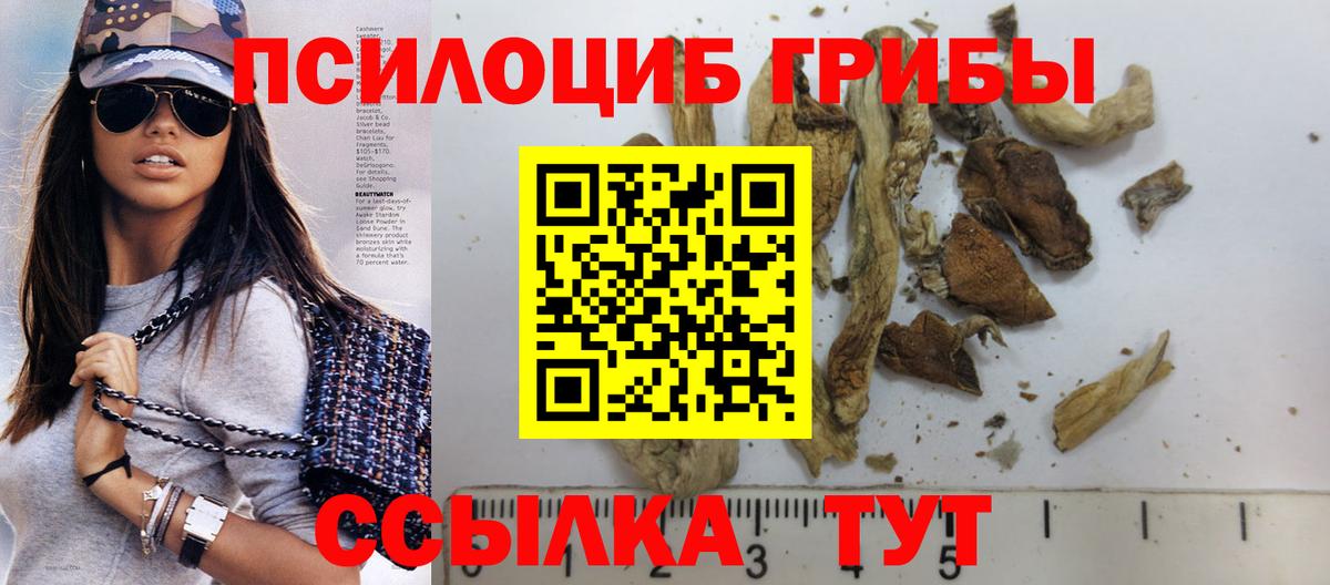 Псилоцибиновые грибы ЛСД  Вход с VPN  Псилоцибиновые грибы Cubensis  дарнет шоп  Химки 